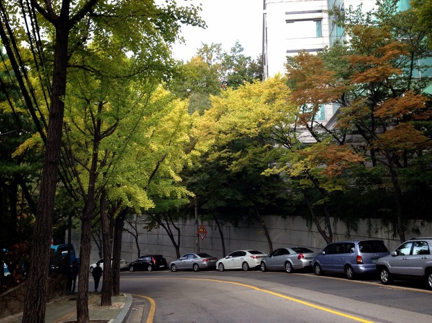 Samcheong-dong Autumn